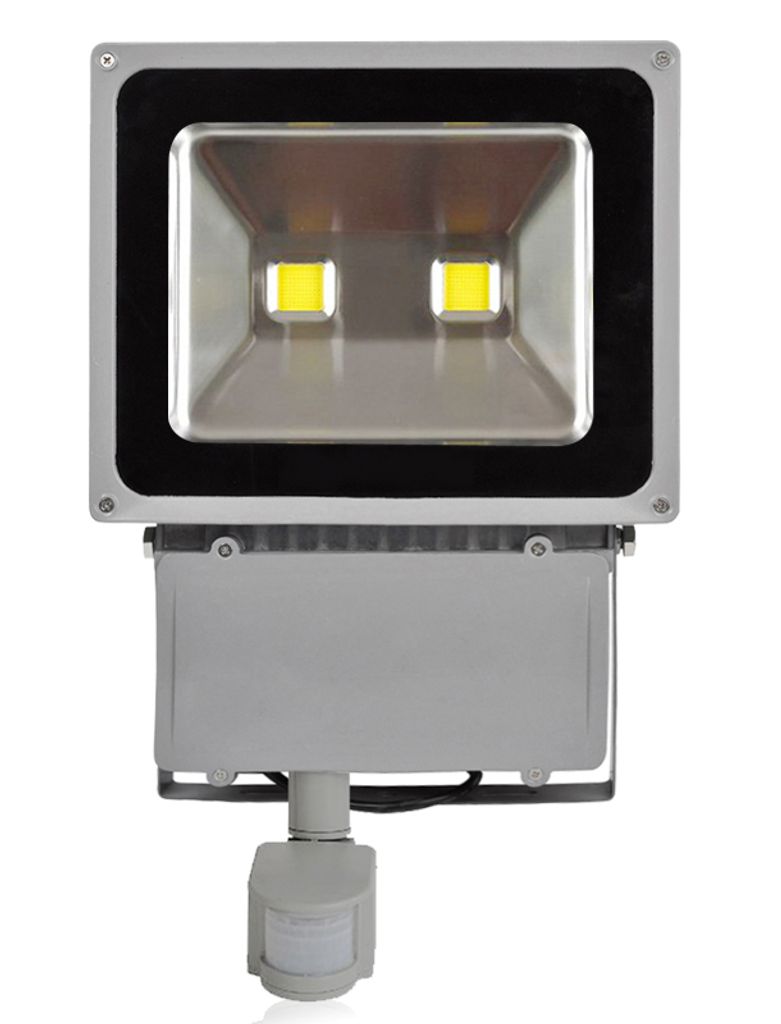 A floodlight with a motion sensor.