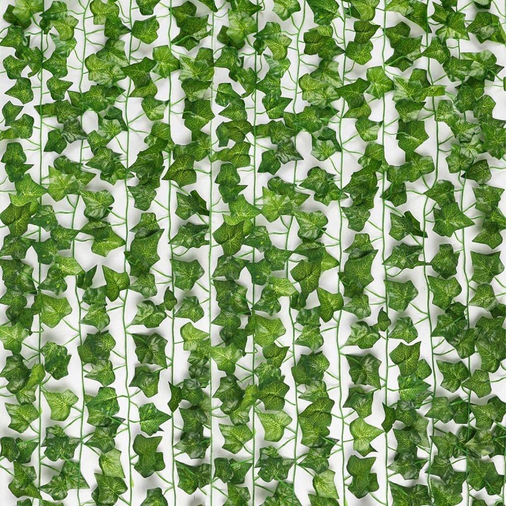 efeutute marble queen pflege Epipremnum Pinnatum 'Marble Queen' (Efeutute) | Mila