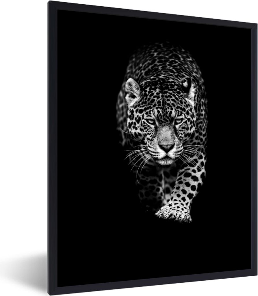 MuchoWow Gerahmtes Poster Tiere - Schwarz - Leopard - Weiß - Wild 60x80 cm - Poster mit Schwarzem Bilderrahmen Wandposter Rahmen Foto Bilder - P...