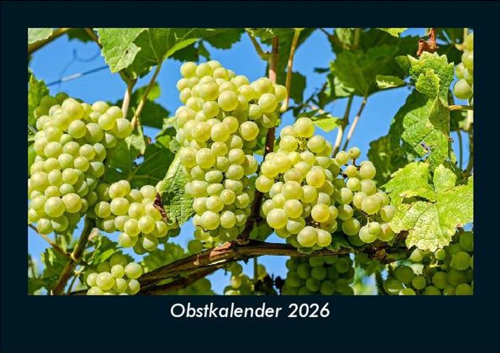 Obstkalender 2026 Fotokalender - Querformat DIN A5, Monatskalender mit Bild-Motiven von Obst und Gemüse, Ernährung und Essen