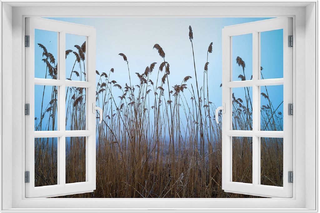 Wallario Wandbild mit Fenster-Illusion: Schilfrohr am See vor blauem Himmel, Größe: 61 x 91,5 cm, Poster mit weißem Aluminiumrahmen