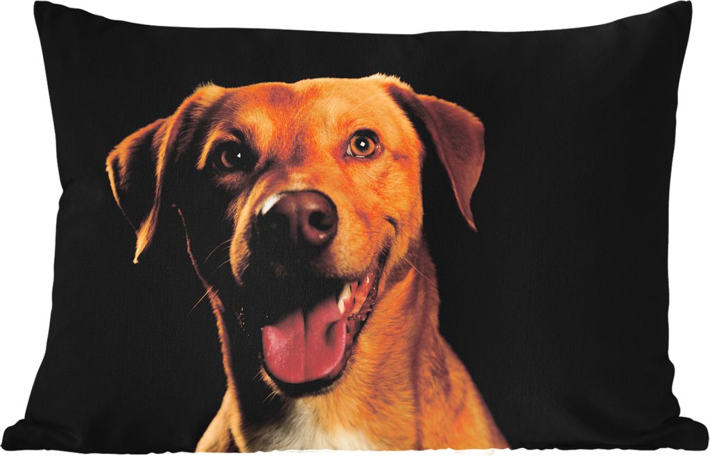 MuchoWow Outdoor Kissen - Hund - Haustiere - Porträt - 60x40 cm - Wetterfest - Lounge Kissen - Zierkissen - Kissen für Innenräume