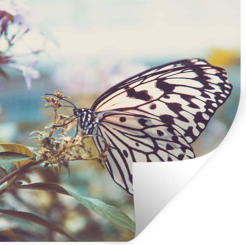 MuchoWow Wandtattoo Wandsticker Wandaufkleber Schmetterling - Blumen - Frühling 100x100 cm Selbstklebend und Repositionierbar - Wierderverwendba...