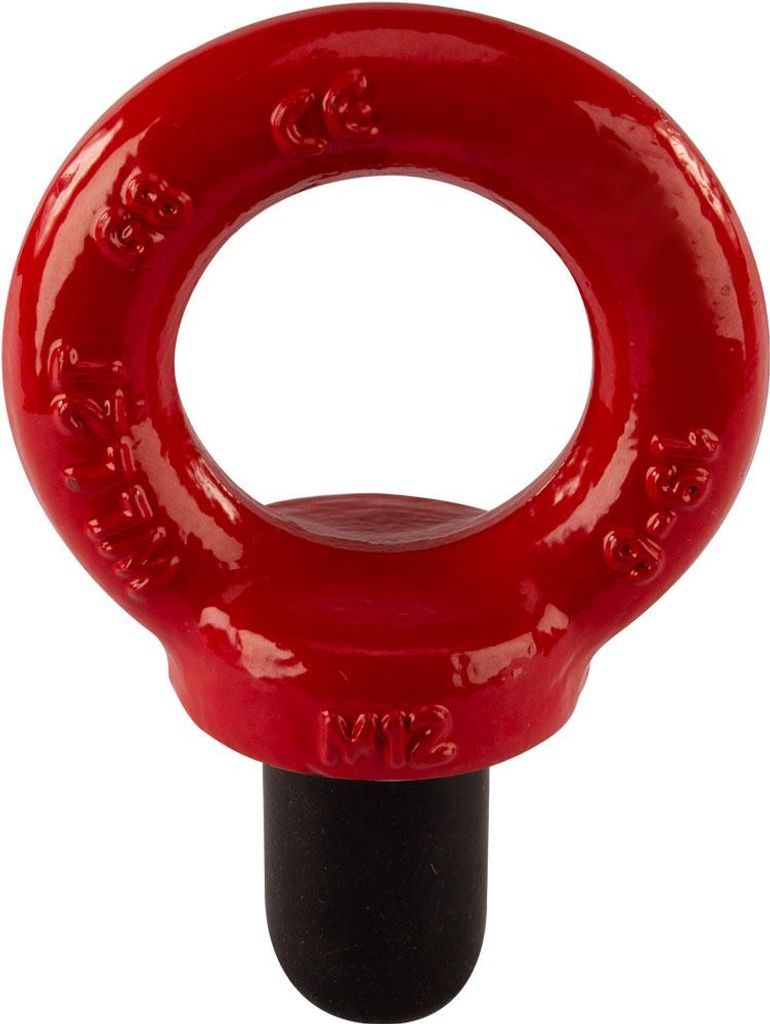 Riggatec Ringschraube schwerlast M12, rot 2,0 t