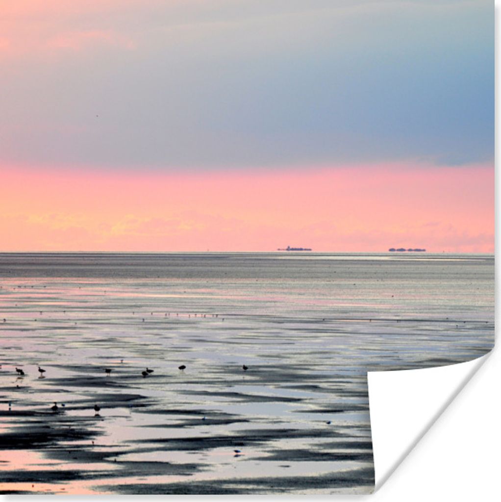 MuchoWow Poster Meer - Vogel - Sonne 50x50 cm - Wohnzimmerdekoration