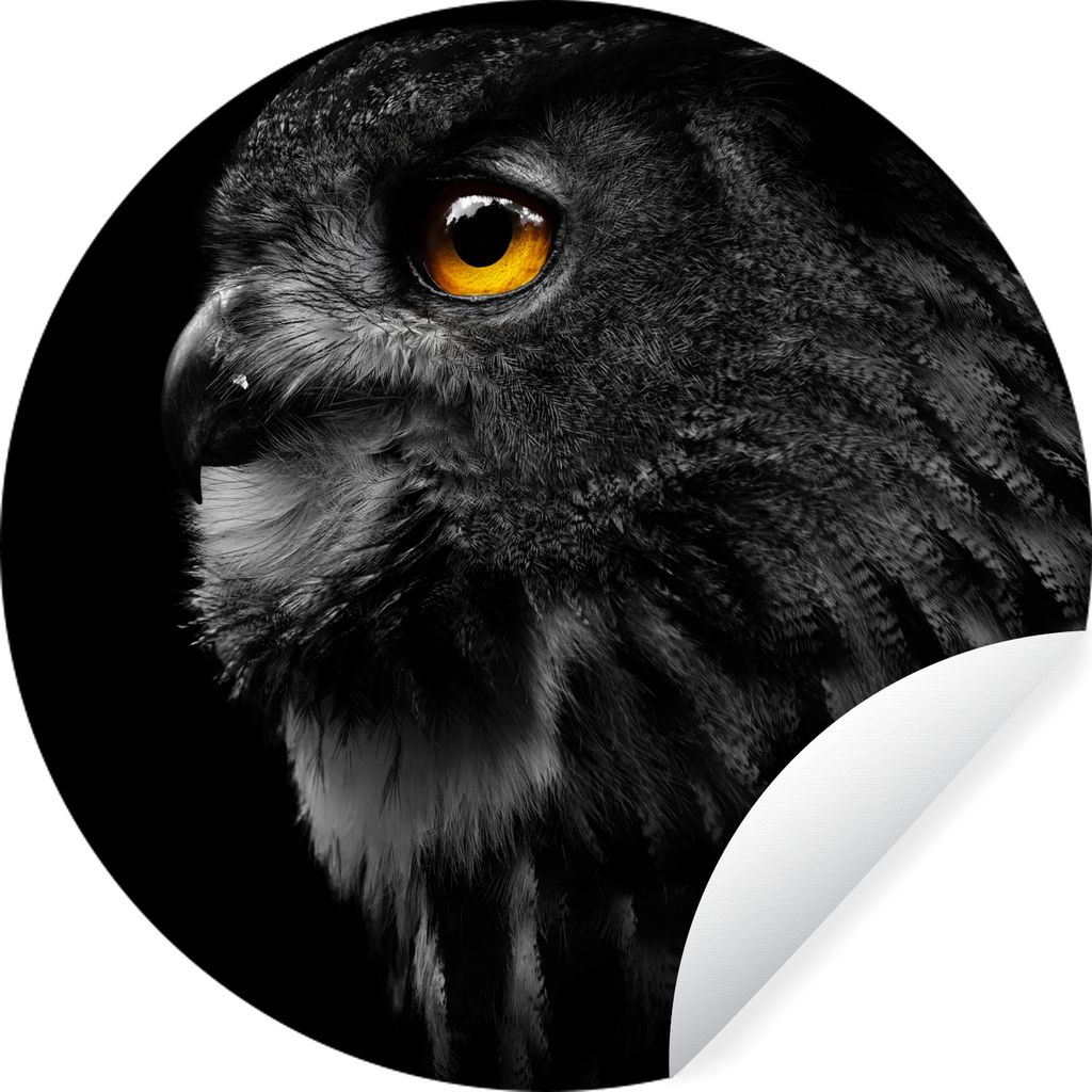 MuchoWow Runde Wandtattoo - Wandsticker Tapete Aufkleber Eule - Vogel - Schwarz - Porträt Ø 50 cm Selbstklebend und Repositionierbar - Wandaufk...