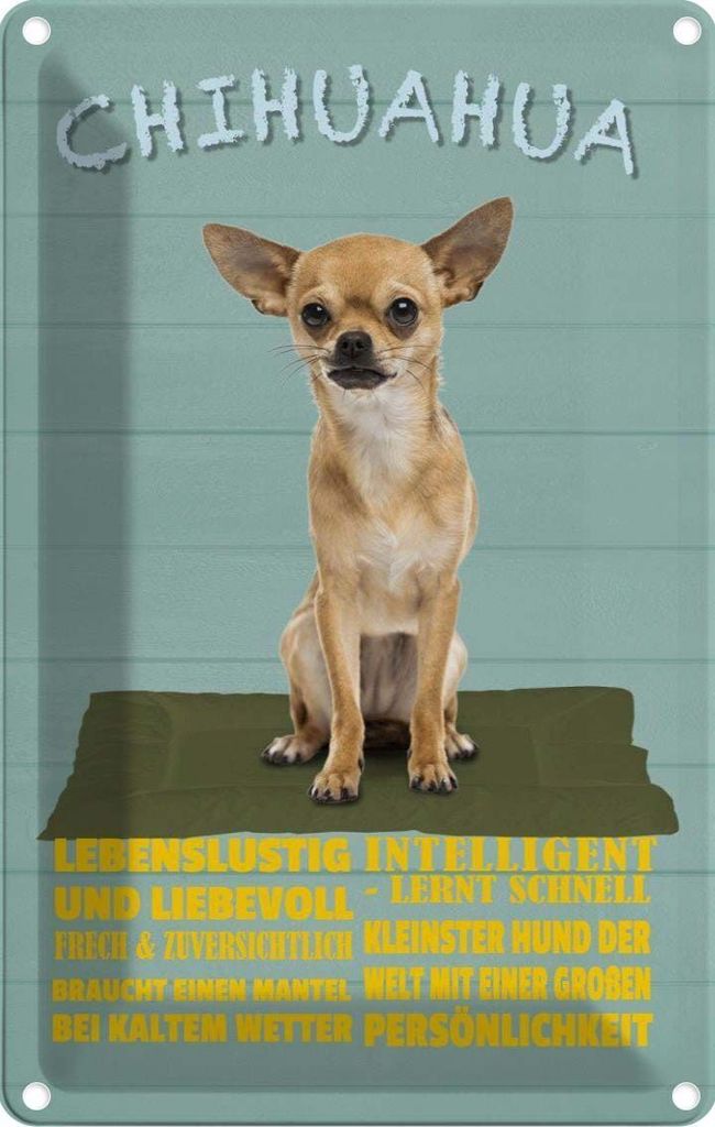 vianmo Blechschild 18x12 cm Chihuahua Hund lebenslustig Tier Haustier