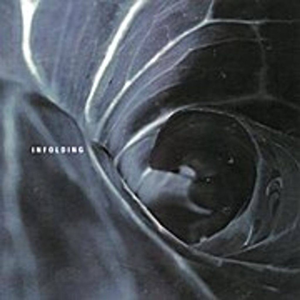 Spin Marvel-Infolding