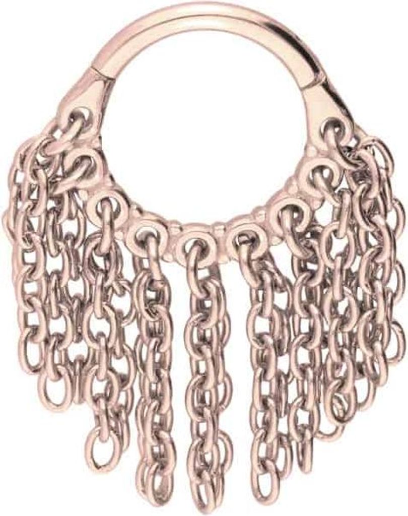 Ohrpiercing, Nasenpiercing, Septum Piercing Chirurgenstahl Segmentring Clicker KETTENVORHANG