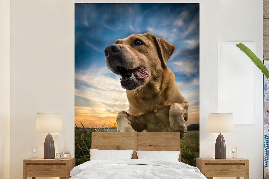 MuchoWow Fototapete für Wohnzimmer oder Schlafzimmer Wandtapete Vinyl Motivtapete Bunter Himmel über diesem Labrador Retriever - 195x300 cm - D...