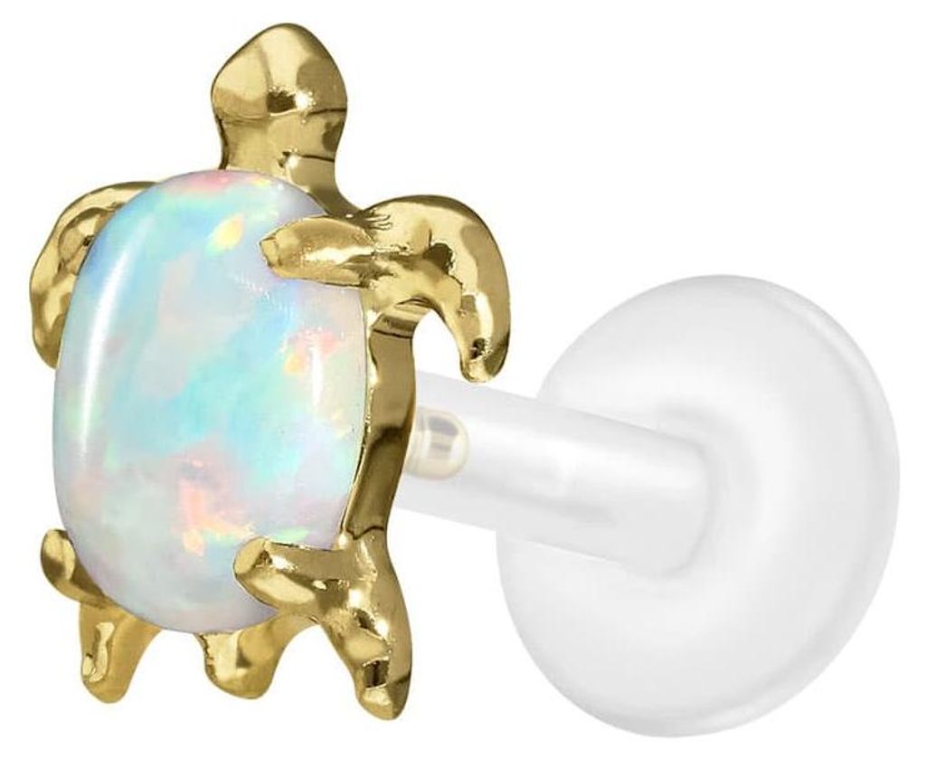 Ohrpiercing, Nasenpiercing PTFE Labret mit Innengewinde + Titan-Aufsatz SCHILDKRÖTE Gold Stablänge: 7mm | Stabstärke: 1,2mm