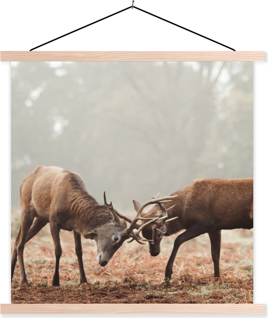 MuchoWow Textilposter Hirsche - Geweihe - Wald - Gras 40x40 cm mit holzfarbenen Rahmen - Posterleiste