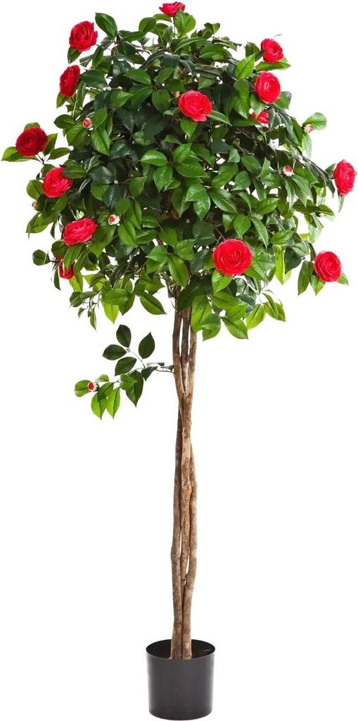 aplanta Künstlicher Kamelienbaum - Pelin | 160 cm, für drinnen, Kunstbaum, wie echt, Allergiker geeignet, pflanzliche Dekoration Praxis, Office &...