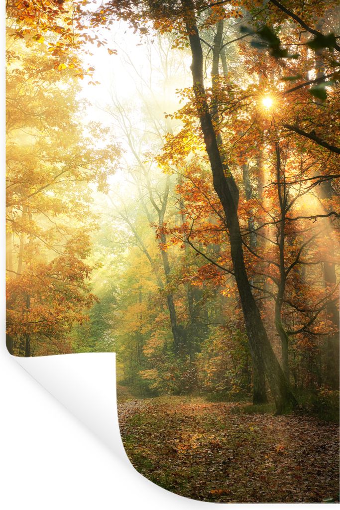 MuchoWow Wandtattoo Wandsticker Wandaufkleber Wald - Herbst - Sonne - Landschaft - Natur - Bäume - Laub 80x120 cm Selbstklebend und Repositionie...
