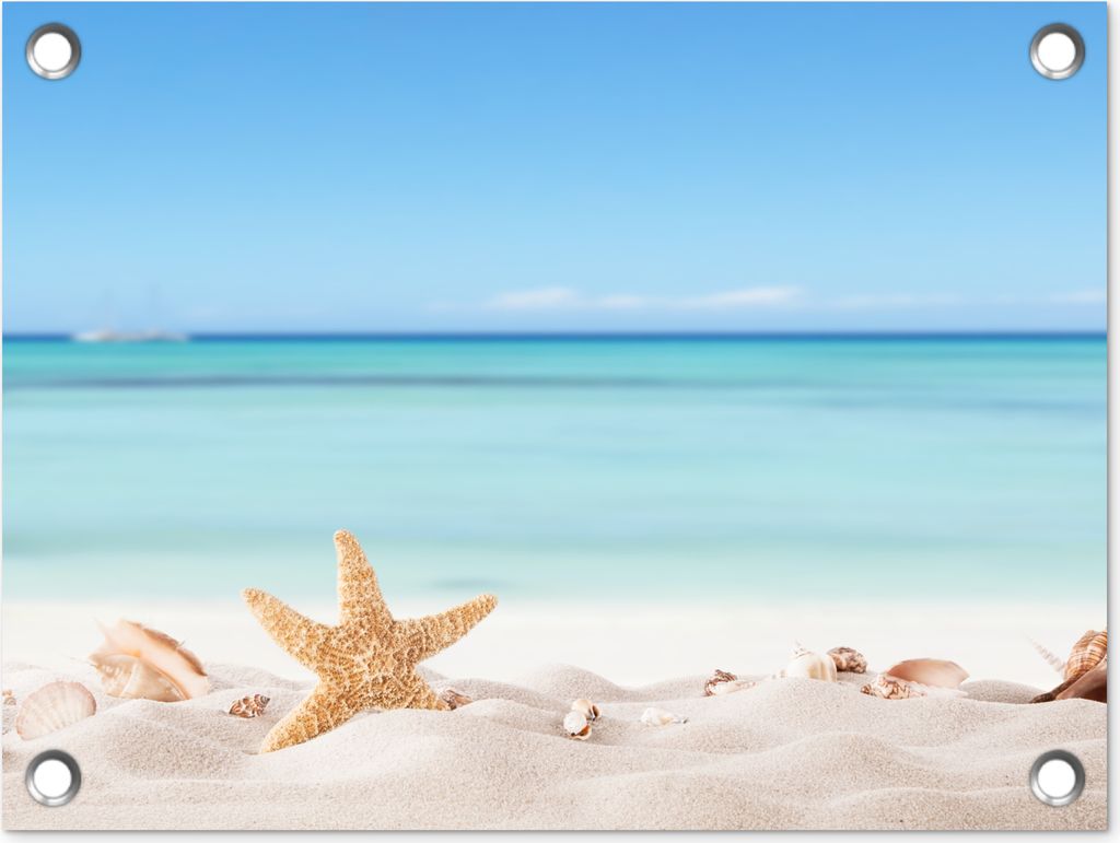 MuchoWow 40x30 cm Outdoor-Poster Gartendeko Sichtschutz Garten Poster für den Garten Strand - Meer - Muscheln - Seesterne