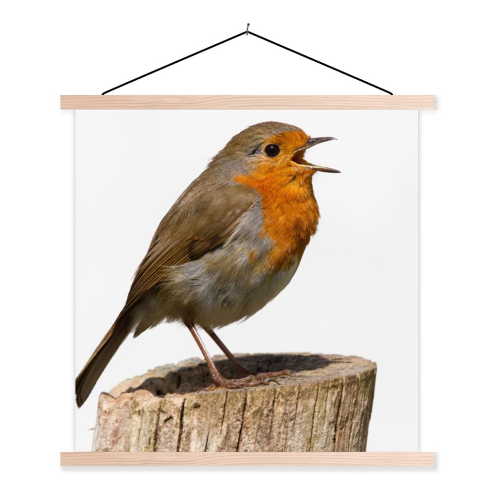 MuchoWow Textilposter Rotkehlchen - Vogel - Holz 120x120 cm mit holzfarbenen Rahmen - Textil-Poster