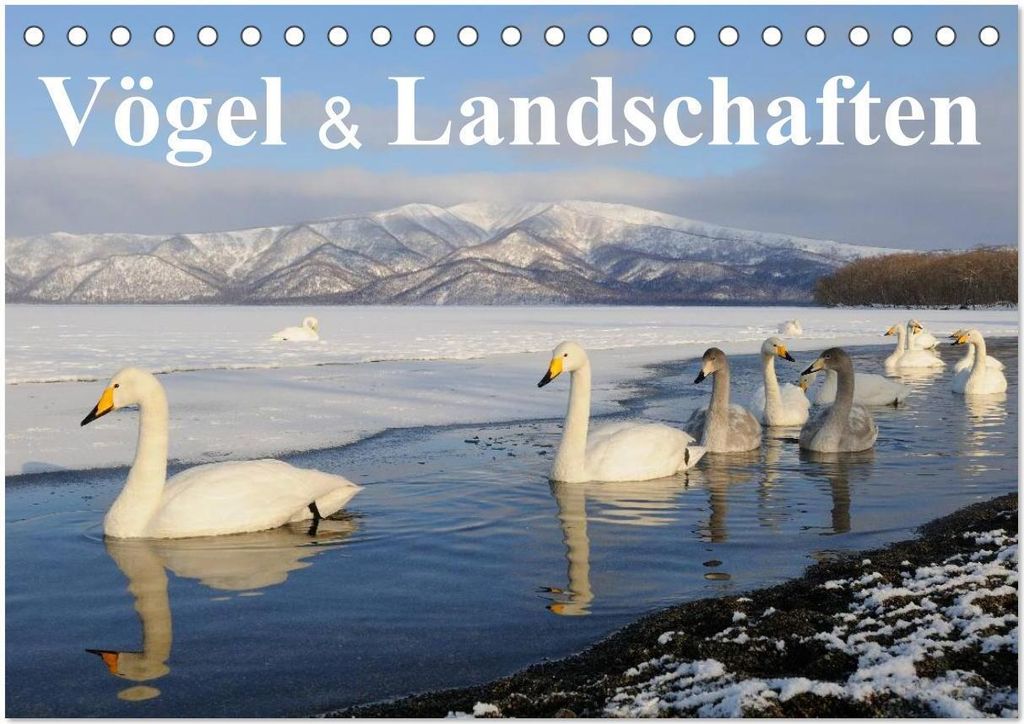 Vögel & Landschaften (Tischkalender 2026 DIN A5 quer), CALVENDO Monatskalender