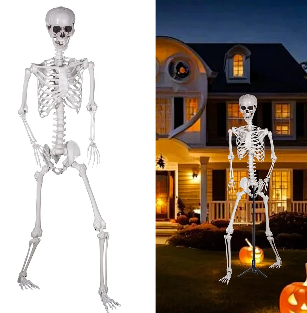 Squelette Halloween 240 cm articulé en plastique réaliste - Modèle XL