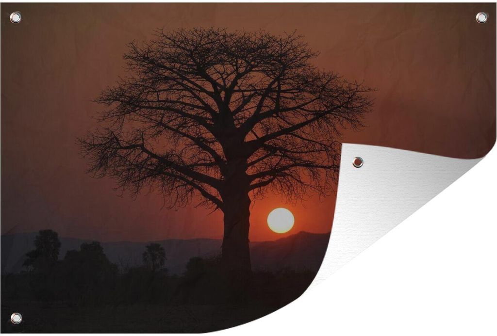 MuchoWow 60x40 cm Outdoor-Poster Gartendeko Sichtschutz Garten Poster für den Garten Sonnenuntergang hinter einem Baum im Lower Zambezi Nationa...