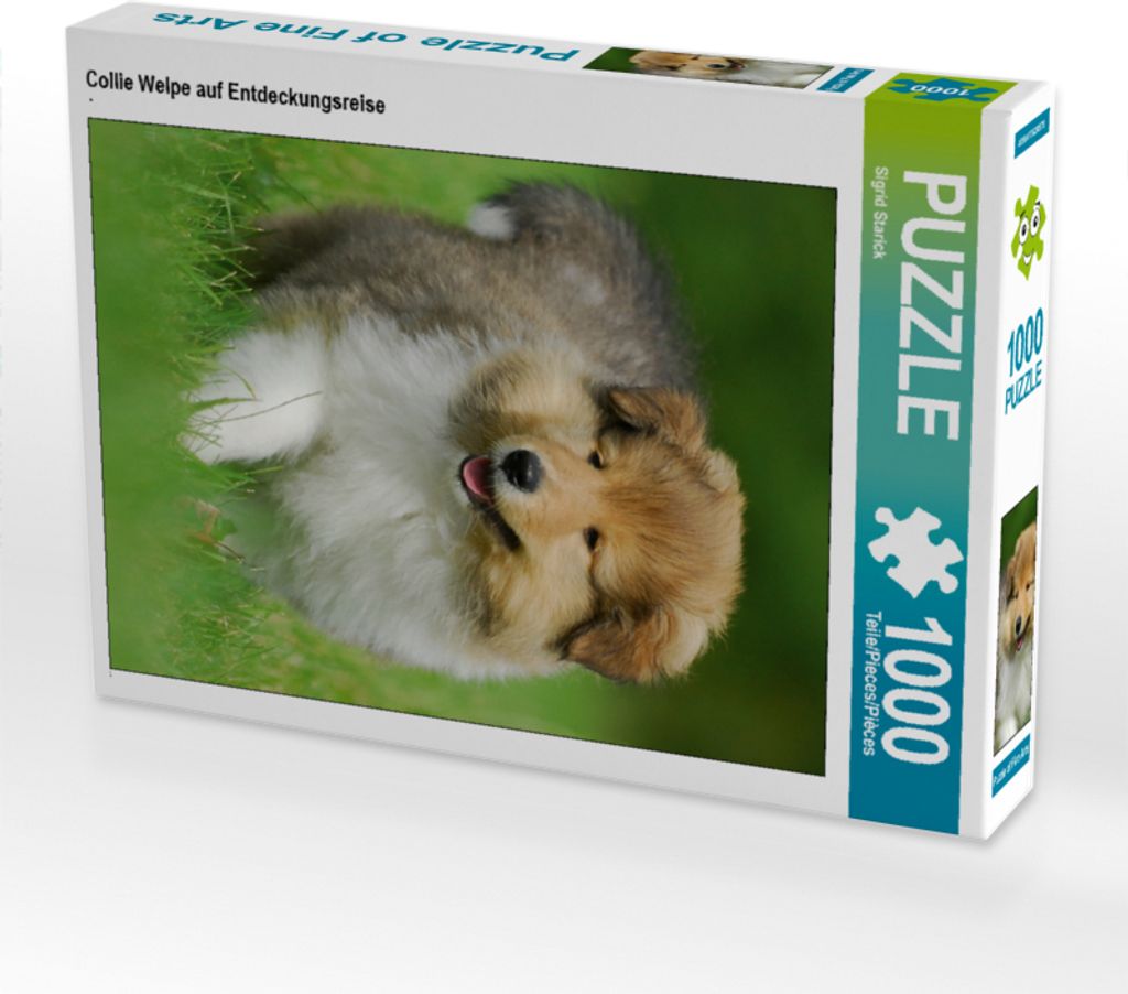 CALVENDO Puzzle Collie Welpe auf Entdeckungsreise | 1000 Teile Lege-Größe 64x48cm Foto-Puzzle für glückliche Stunden