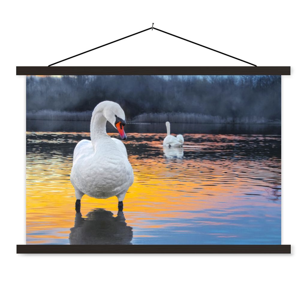 MuchoWow Textilposter Schwan - Vogel - Sonnenuntergang - Wasser 90x60 cm mit schwarzem Rahmen - Aufhängungssatz