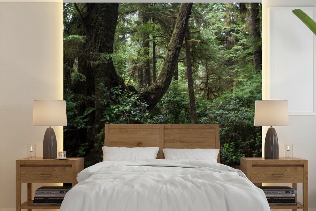 MuchoWow Fototapete für Wohnzimmer oder Schlafzimmer Wandtapete Vinyl Motivtapete Holzbrücke in den moosbewachsenen Wäldern Costa Ricas - 220x...