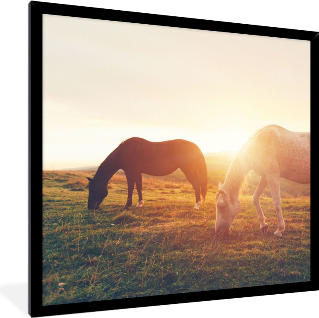 MuchoWow Gerahmtes Poster Pferde - Sonne - Tiere 40x40 cm - Poster mit Schwarzem Bilderrahmen Wandposter Rahmen Foto Bilder - Mit Rahmen - Wandde...