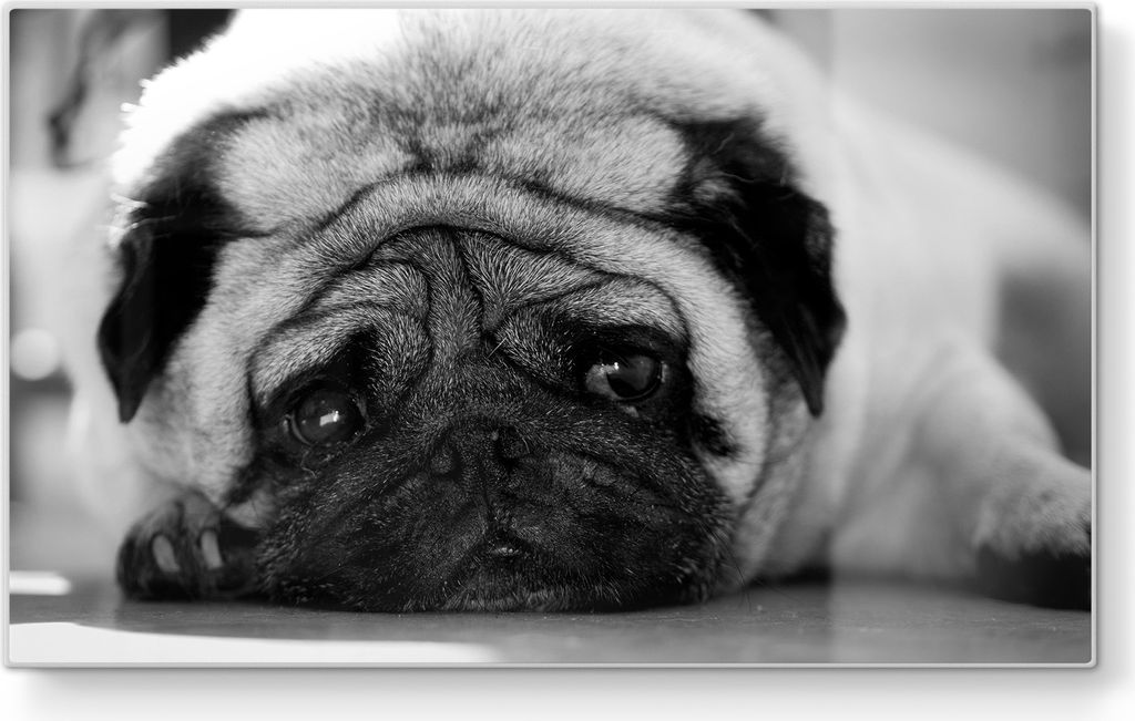 DEQORI Frühstücksbrett Glas 23x14 cm 'Intensiver Mopsblick' Schneidebrett Schneideplatte