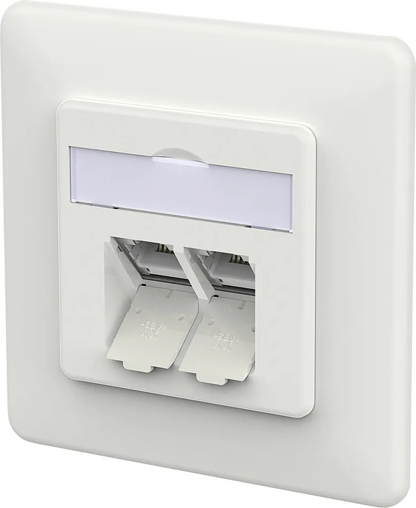 Prise Double IDC E-DAT C6A 10GbE Montage Encastré Blanc Trafic 2 Ports