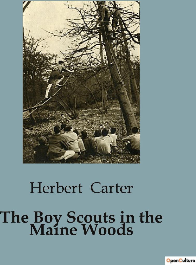 The Boy Scouts in the Maine Woods