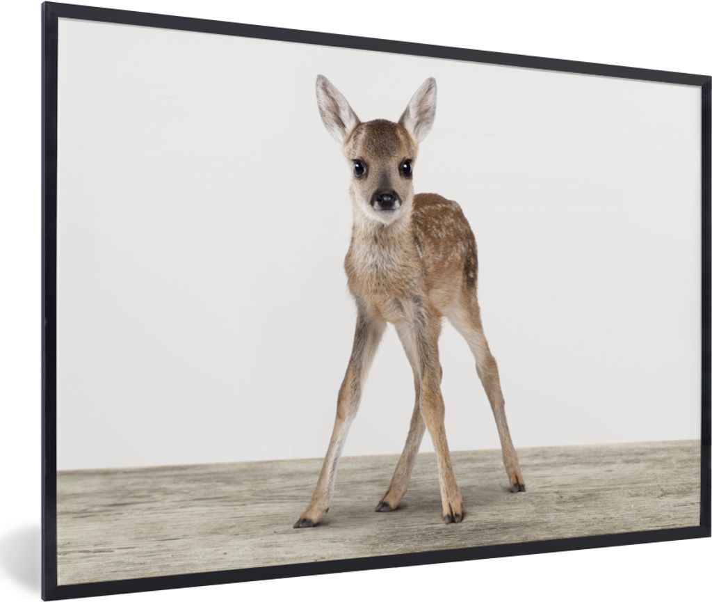 MuchoWow Gerahmtes Poster Hirsche - Baby-Hirsche - Tiere - Mädchen - Jungen - Kinder 30x20 cm - Poster mit Schwarzem Bilderrahmen Wandposter Rah...