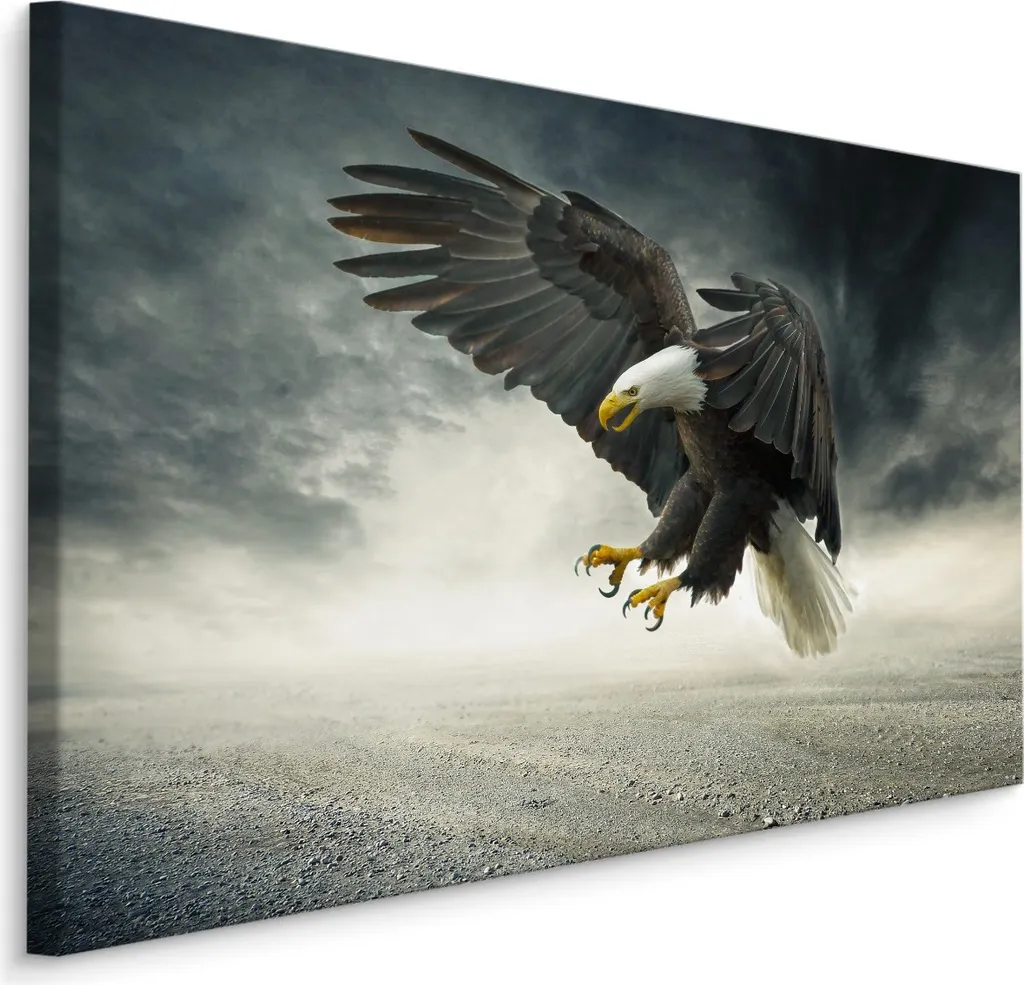 Carta da Parati Aquila nel Temporale 120x80 XXL | Stampa su Tela d'Arte