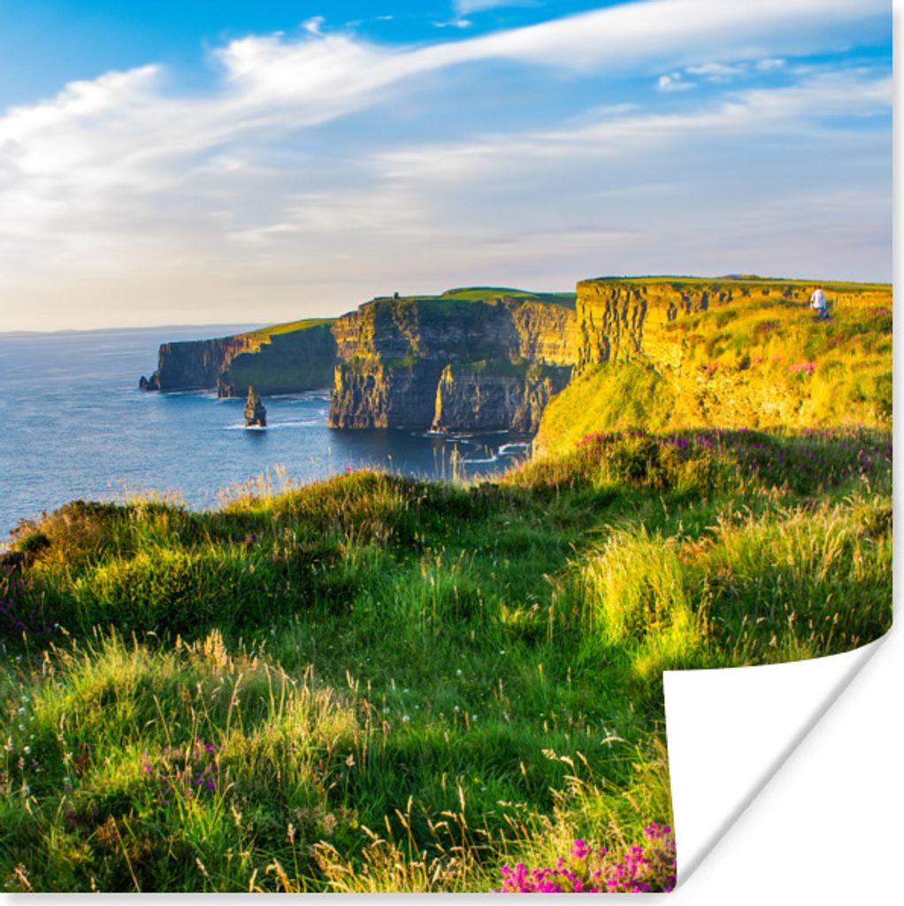 MuchoWow Poster Irische Blumen an den Cliffs of Moher 100x100 cm - Babyzimmer