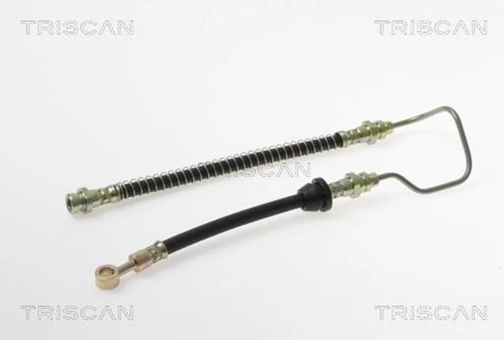 Flexible de frein TRISCAN F10x1 avec raccord banjo pour KIA CARENS 1