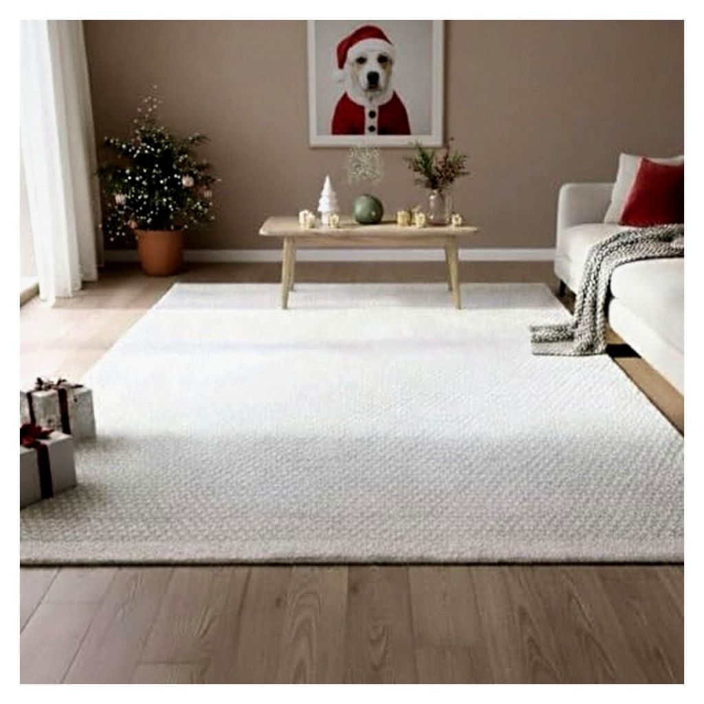 Handgewebter Wollteppich 120 x 170 cm aus gewalkter Schurwolle | Weicher Teppich aus Wolle | Wohnzimmerteppich, Naturteppich, Wendeteppich, robust ...