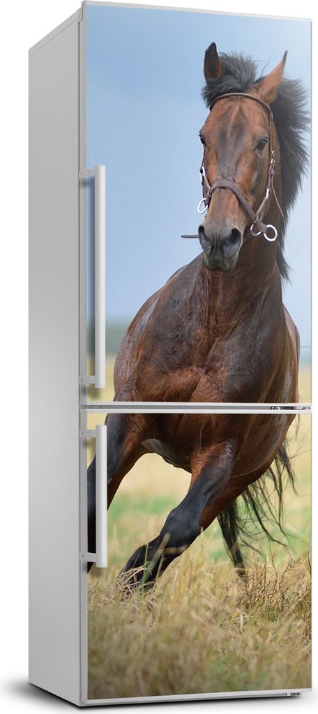 Tulup Kühlschrankdekoration - 70x190 cm - Aufkleber auf dem Kühlschrank - Pferd auf dem Feld