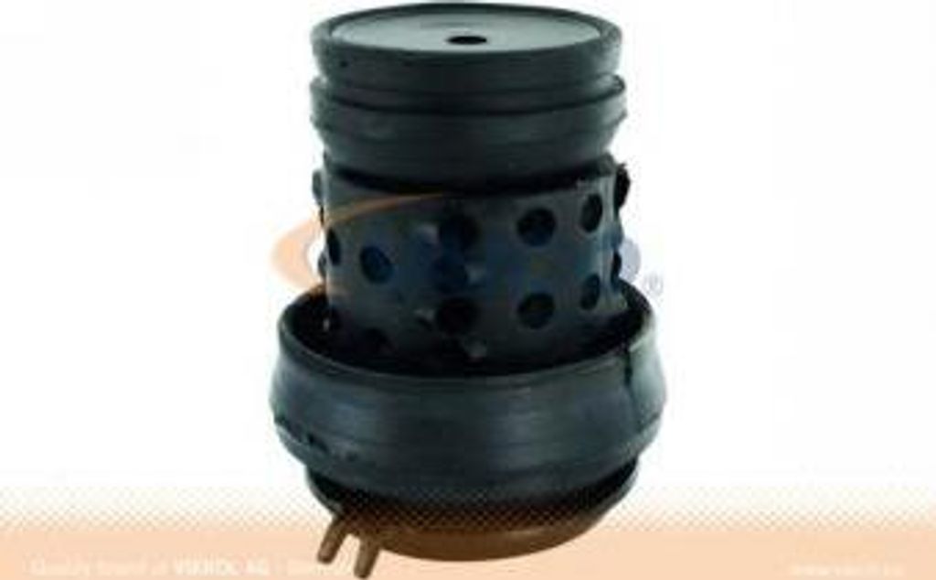 Vaico Lagerung, Motor V10-1180