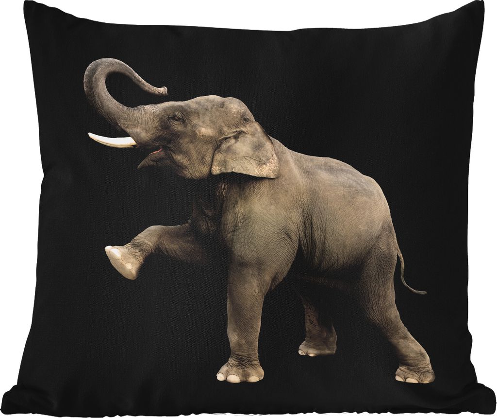 MuchoWow Outdoor Kissen - Elefant - Tiere - Schwarz - Porträt - 40x40 cm - Wetterfest - Lounge Kissen - Kopfkissen - Interieur - Polster mit Bild