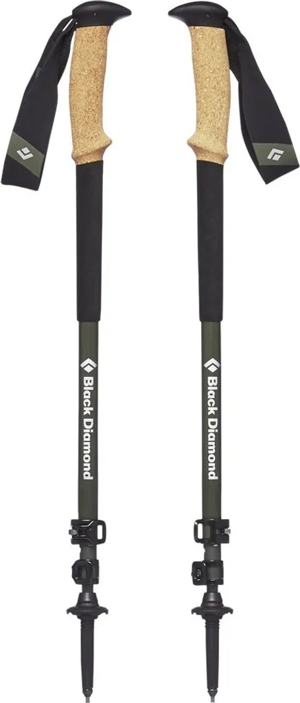 Bâtons de randonnée Black Diamond Alpine télescopiques pour treks et alpes