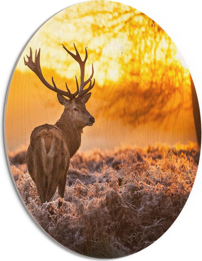 DEQORI Holzbild Ø 50 cm 'Hirsch am Wintermorgen' Bild auf Holz Wandbild Kunstdruck
