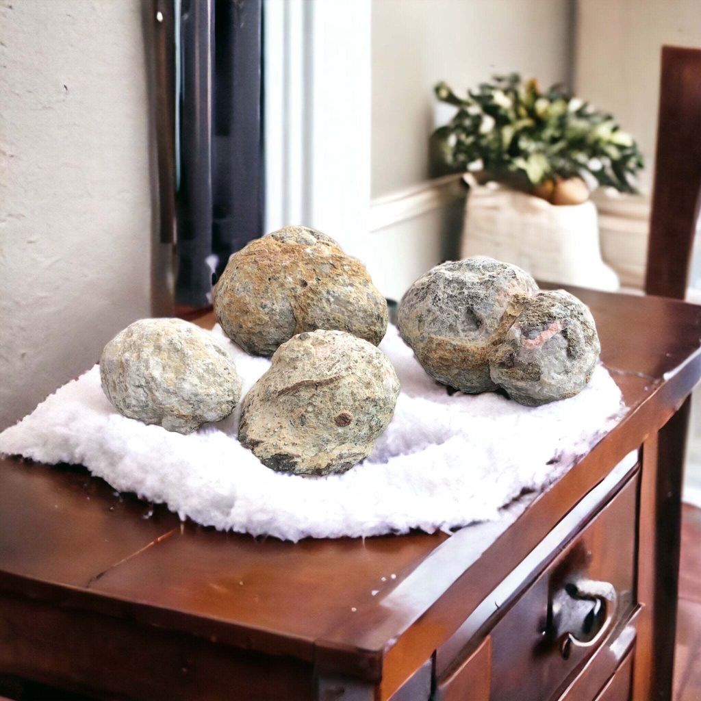 Coconut Geode Mexiko geschlossen zum selber aufbrechen | Glücksgeode | Break your own | 44 Millionen Jahre alt – 50 mm