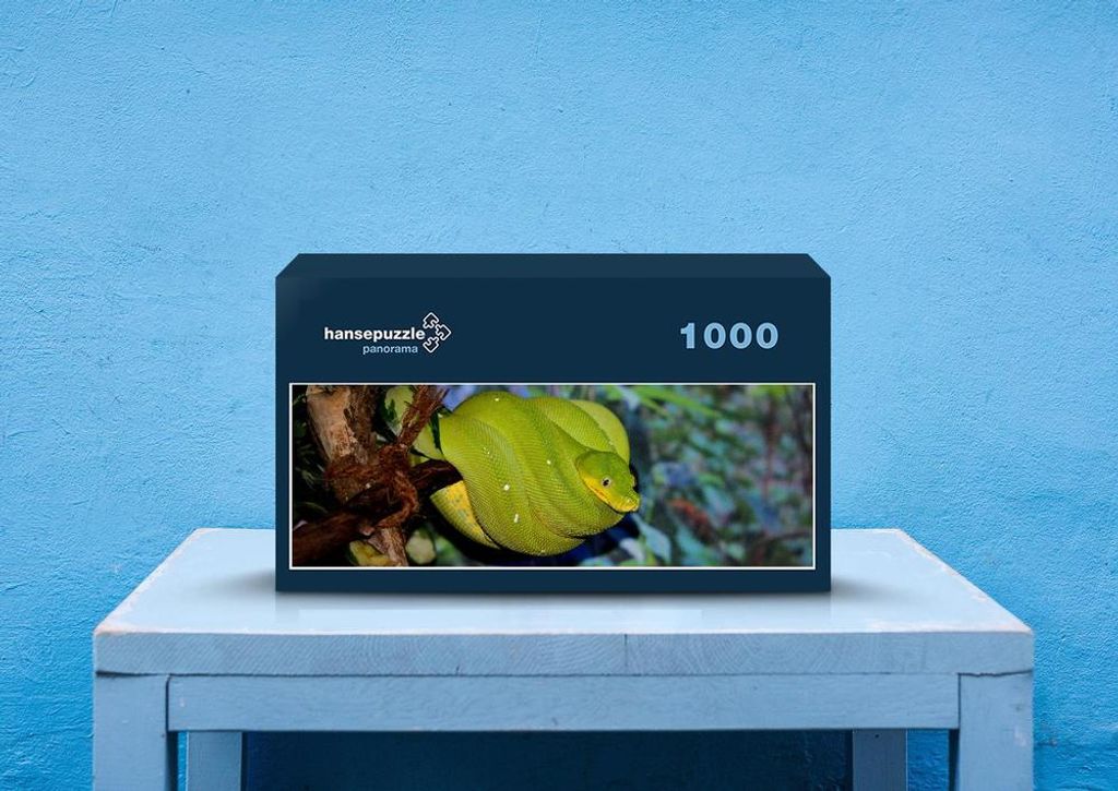 hansepuzzle 30083 - Schlange Puzzle, 1050 Teile, Tierwelt, 60,0 x 46,0cm mit hochwertiger Aufbewahrung, Kartonbox und wiederverschließbarem Beutel