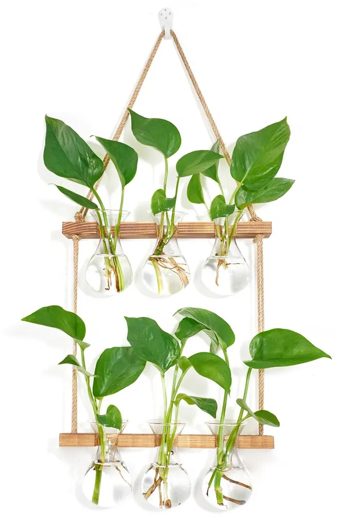 Système de bouturage mural gain de place avec 3 vases en verre et bois