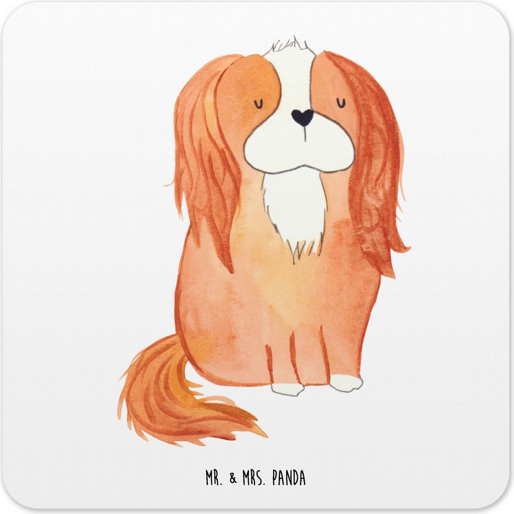 Mr. & Mrs. Panda Untersetzer für Gläser Hund Cavalier King Charles Spaniel 10er Set - Weiß - Geschenk, Tassen-Untersetzer, Sprüche, Coaster, Ta...
