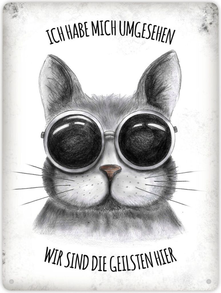 Metallschild XL mit Katze Motiv und Spruch: Ich habe mich umgesehen - ...