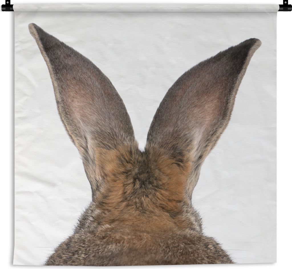 MuchoWow Wandteppich Wandbehang Die Ohren eines flämischen Riesen 90x90 cm Tapisserie Dekoration Wandtuch - Wandaufhänger