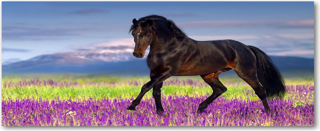 Tulup Glas-Bild Wandbild aus Glas - 125x50 - Wandkunst - Wandbild hinter gehärtetem Sicherheitsglas - Dekorative Wand für Küche & Wohnzimmer -...