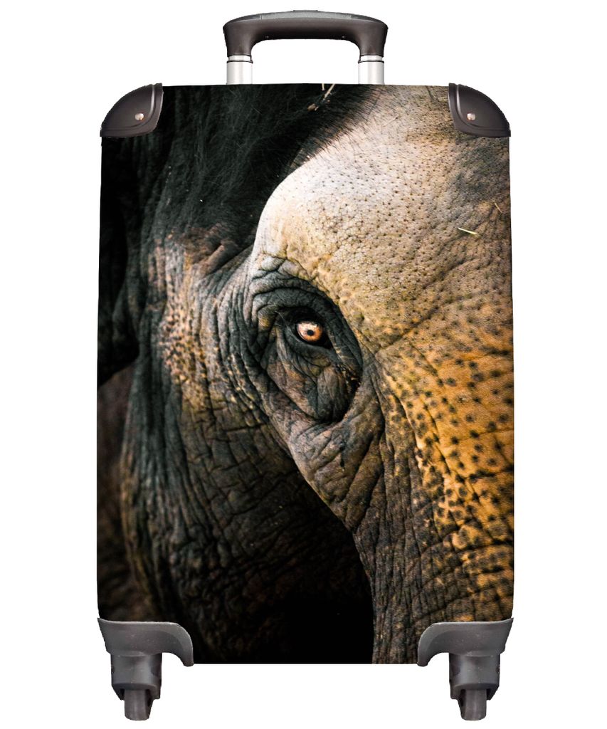 MuchoWow Koffer Handgepäck Trolley Rollkoffer Kleine Reisekoffer mit 4 Rollen - Elefant - Nahaufnahme - Tiere - Natur - Cabin Size < 55x40x23 cm...