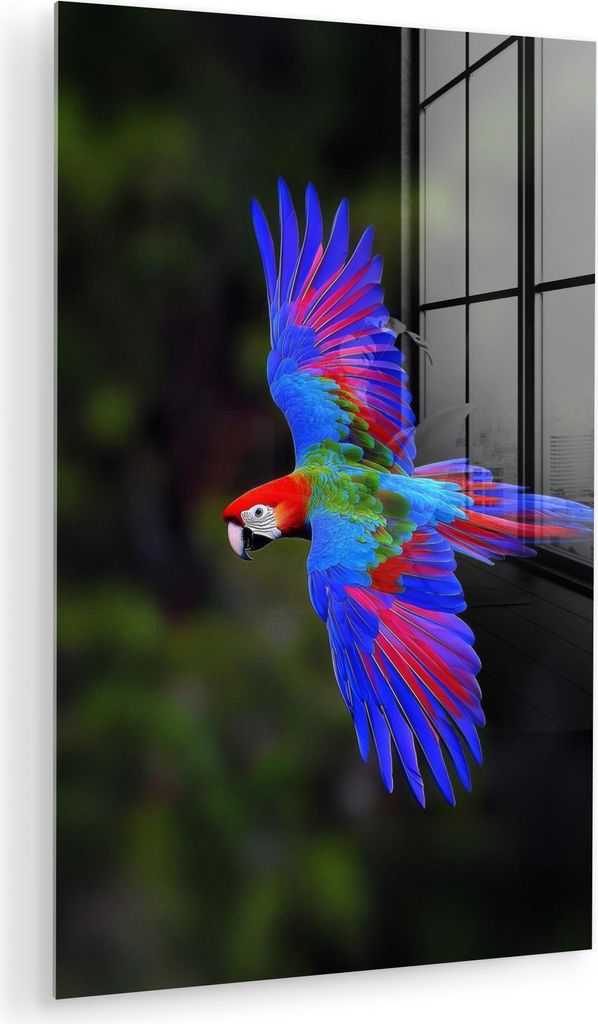 MuchoWow Glasbilder - Bilder auf Wandbild - Foto auf Glas Leuchtend bunt - Papagei - Wald - Flügel 40x60 cm Wanddekoration aus Glas - Acrylglasbil...
