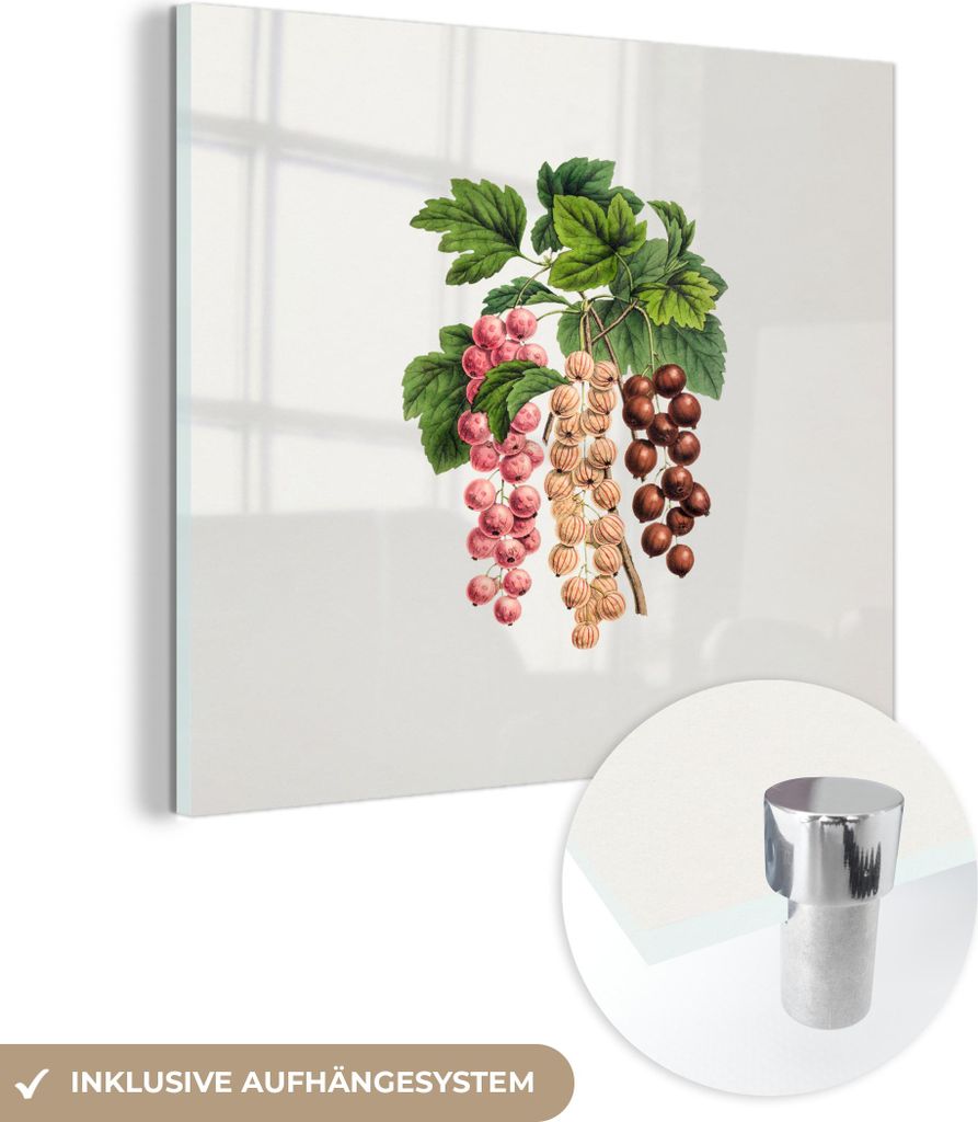 MuchoWow Glasbilder - Bilder auf Wandbild - Foto auf Glas Obst - Weinlese - Beeren 90x90 cm Wanddekoration aus Glas - Acrylglasbild - Acrylbilder -...